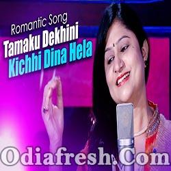 Tamaku Dekhini Kichhi Dina Hela - New Odia Romantic Song (Namita Agrawal)
